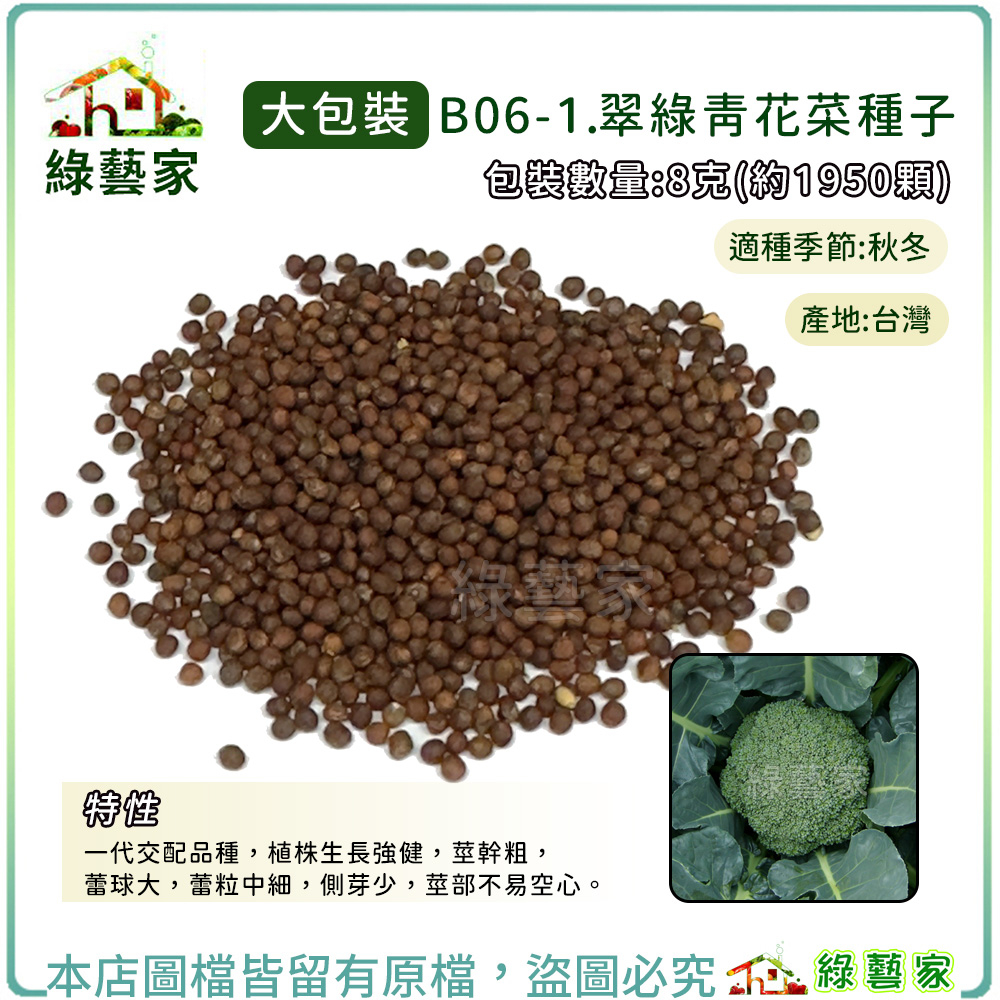 大包裝B06-1.翠綠青花菜種子8克(約1950顆)F1，植株生長強健，莖幹粗，蕾球大， 蕾粒中細【綠藝家】