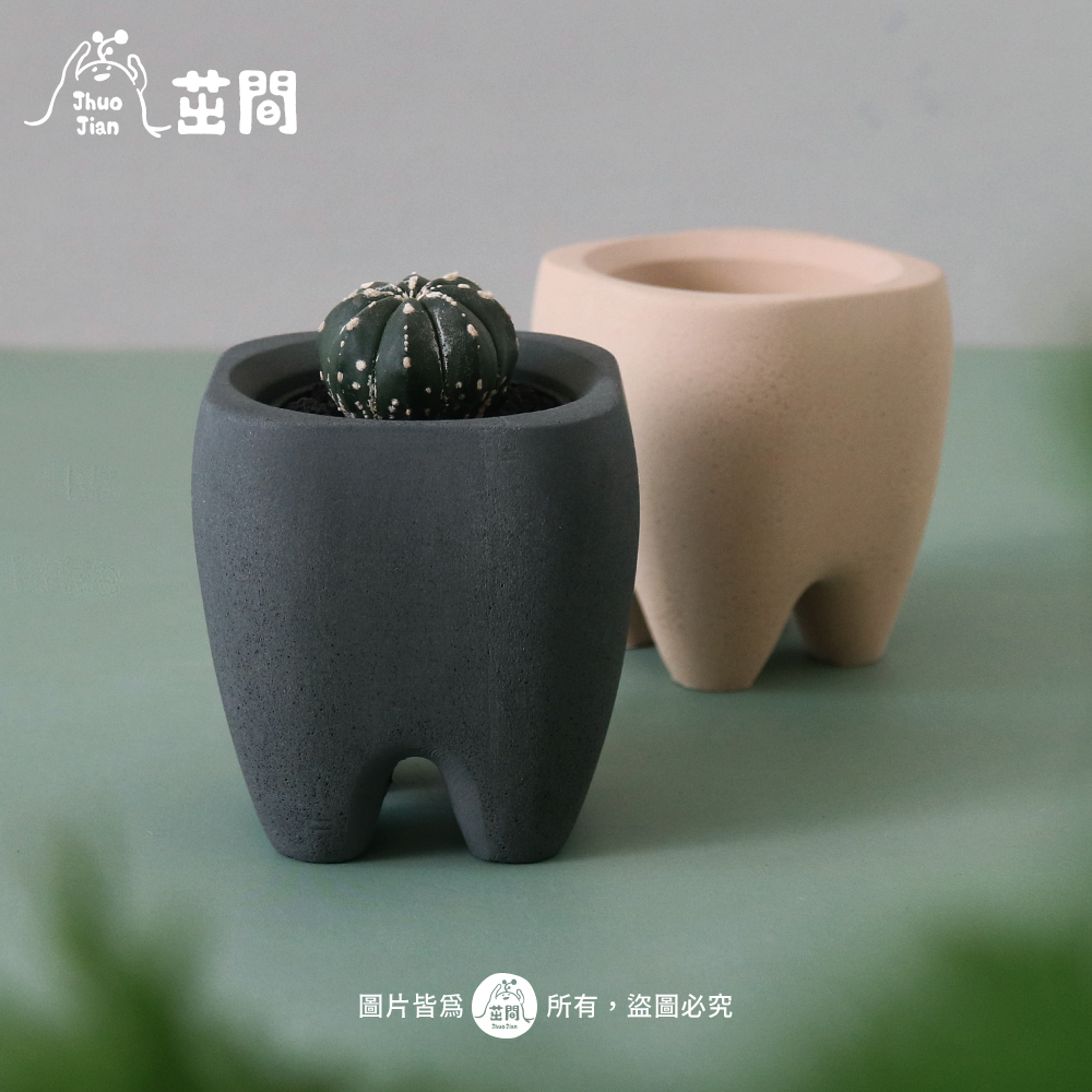 ［茁間 JhuoJian］完美大牙齒┇造型水泥盆  不含植物 台灣製 仙人掌 多肉盆器 樂土 環保水泥