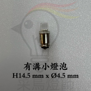【菜鳥燈飾】有溝小燈泡