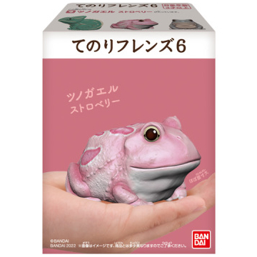 日本 BANDAI 正版盒玩 小鳥 掌上好朋友 6 第六彈 單售 09 草莓角蛙 全新未拆
