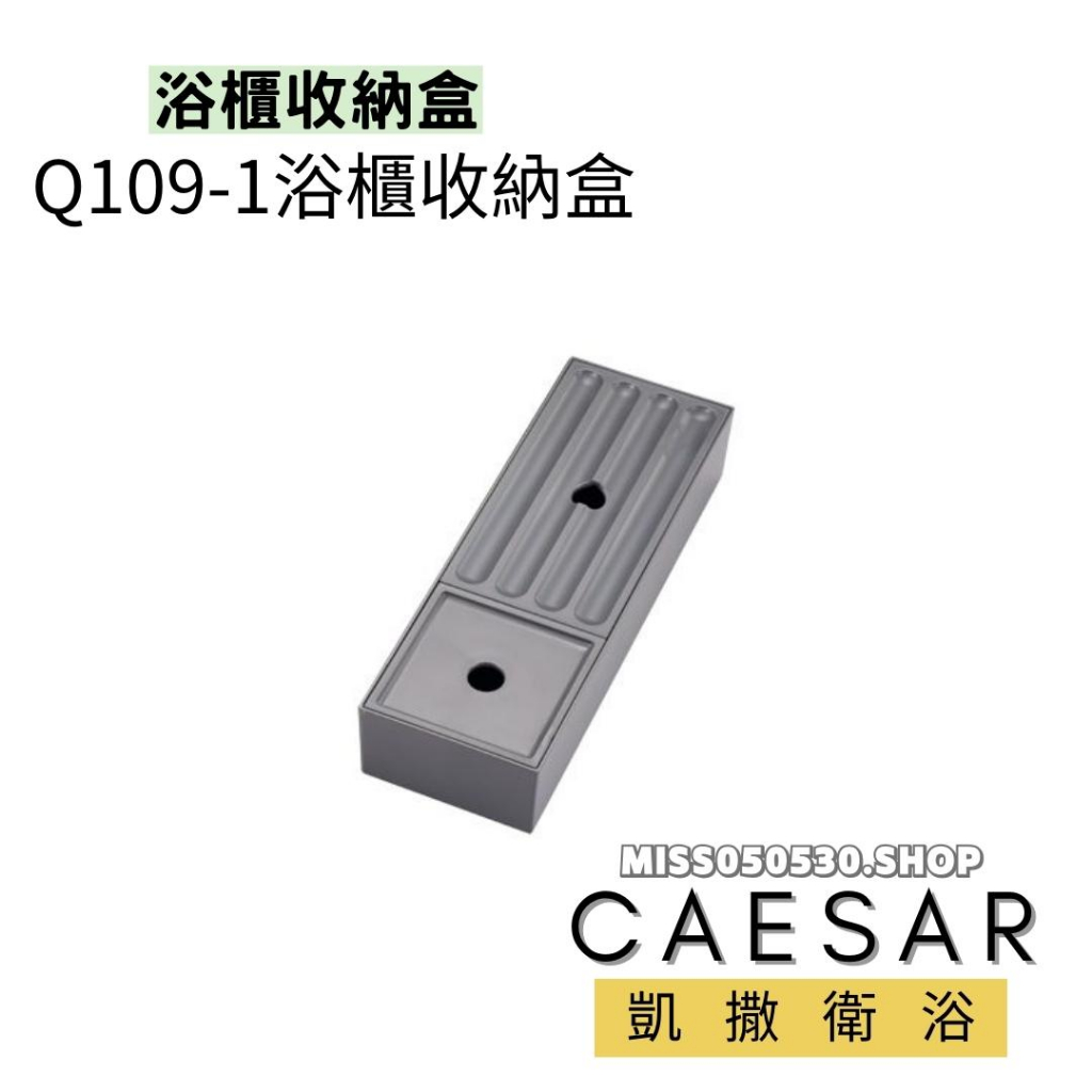 Caesar 凱撒衛浴 浴櫃收納盒 抽屜收納盒 收納盒 Q109-1 櫃子收納盒