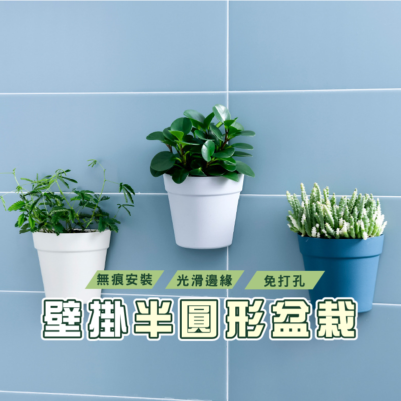 台灣現貨_DA163 壁掛式塑料盆栽花器 植物花盆 墻壁陽臺室內牆上盆景 半圓形小花盆 水培花盆 壁掛式收納盒 塑膠花盆