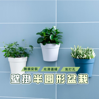 臺灣現貨 DA163 壁掛式塑膠盆栽花器 植物花盆 墻壁陽臺室內牆上盆景 半圓形小花盆 水培花盆 壁掛式收納盒 塑膠花盆