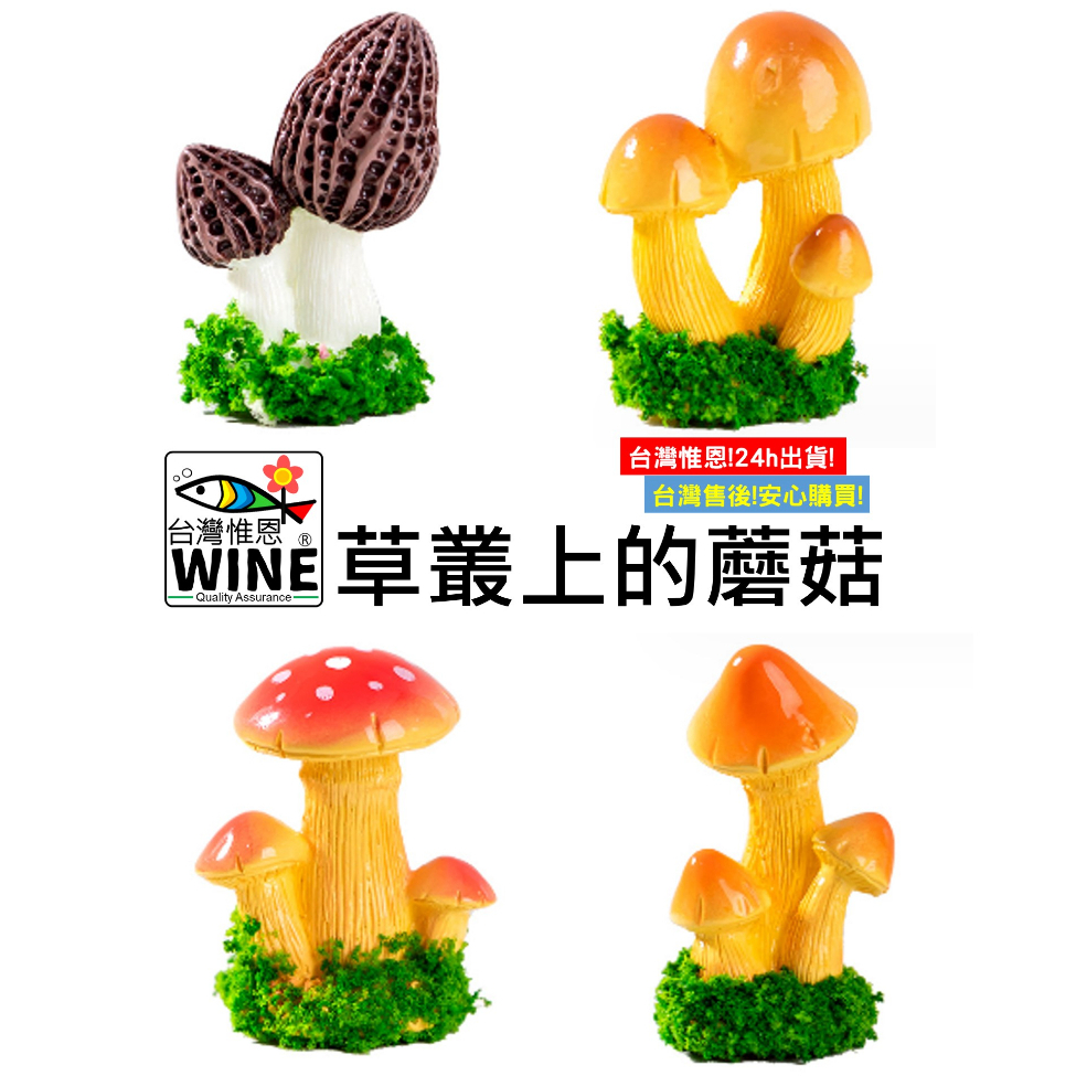 WINE台灣惟恩 微景觀 草叢上的蘑菇 蘑菇 香菇 香菇頭 菇 多肉 盆栽裝飾
