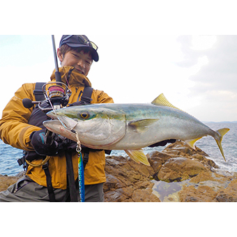 DAIWA 振出投竿 SHORT SWING 20-270 9尺 池釣 海釣 海釣場