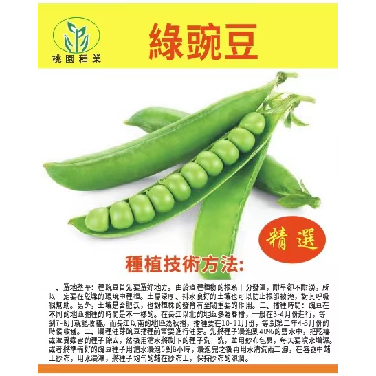 台灣珍奇甜脆種子豌豆 農家四季種植 長壽豌豆仁 甜豆蔬菜籽 豆莢籽