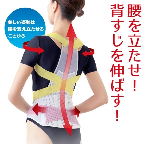 日本直送日本Alphax 護腰 日本製 防駝 肩頸 背部 支撐 美姿調整背帶 美姿帶 腰背支撐帶