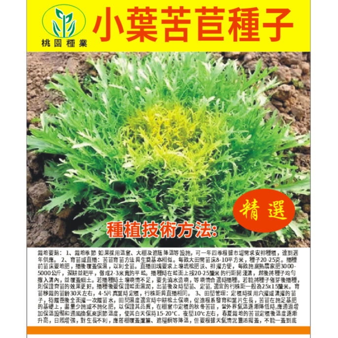 ❥【原廠包裝】小葉苦苣種子 苦苣菜種子 黃心細葉苦苣苦菊種子 農家菜種子 春秋季播種 陽台種菜盆栽 蔬菜種子🌱