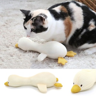 現貨- 日本PET PARADISE 鴨鴨潔牙玩具 貓咪玩具 寵物玩具 日本寵物用品