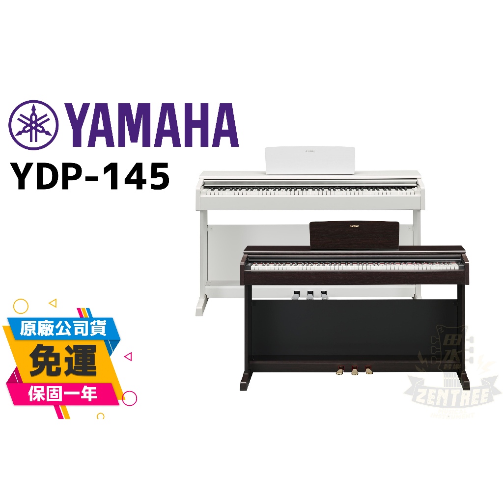 YAMAHA YDP145 電鋼琴 2種顏色 88鍵 YDP-145 家用 數位鋼琴 田水音樂