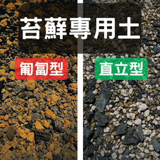 『吃土長大』 苔蘚專用土 生態缸 苔癬繁殖 雨林缸 生態瓶 微景觀 苔蘚快速繁殖