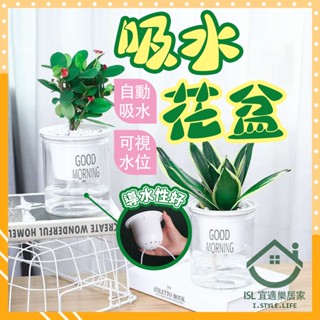 ✨臺灣出貨✨吸水花盆 透明花盆 水培花盆 懶人盆栽 植物花盆 自動吸水花盆 透明花盆 水培花盆 懶人吸水花盆 懶人花盆