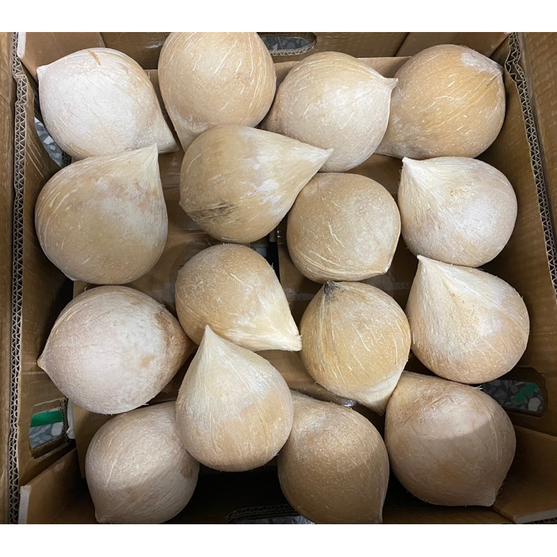 越南剝殼椰子🥥新鮮好喝
