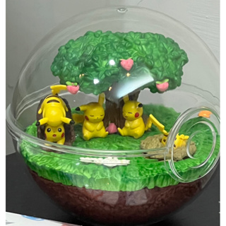 Re-ment 寶可夢 Pokemon 皮卡丘 Terrarium DX 寶貝球 生態球