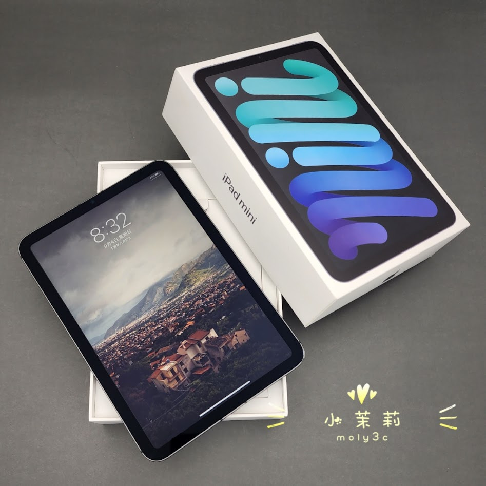 超熱 【即日発送】iPad AppleCare Wi-Fi 256GB 6 mini タブレット ...