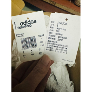 Adidas 愛迪達 籃球運動鞋 中統 高筒 低筒 白綠色