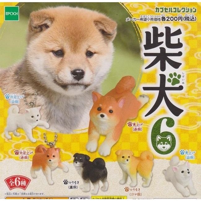 【我愛玩具】 EPOCH(轉蛋)可愛柴犬造型公仔P6 全6種整套販售