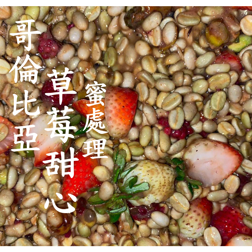 (2023) 獵豆工坊🐆 南美洲 哥倫比亞 草莓甜心 草莓蜜處理  咖啡生豆 500g