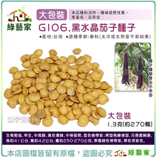 【綠藝家】大包裝G106.黑水晶茄子種子1.3克(約270顆) F1 生長勢強 早生 中高株 葉色濃綠 果萼綠色微帶紫