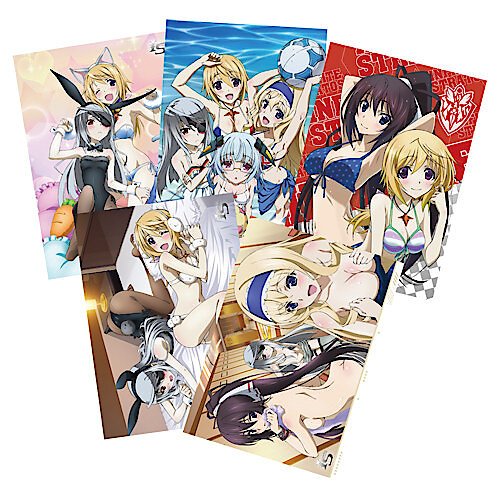 IS2 (Infinite Stratos2) 明信片套卡(2) (5入裝)