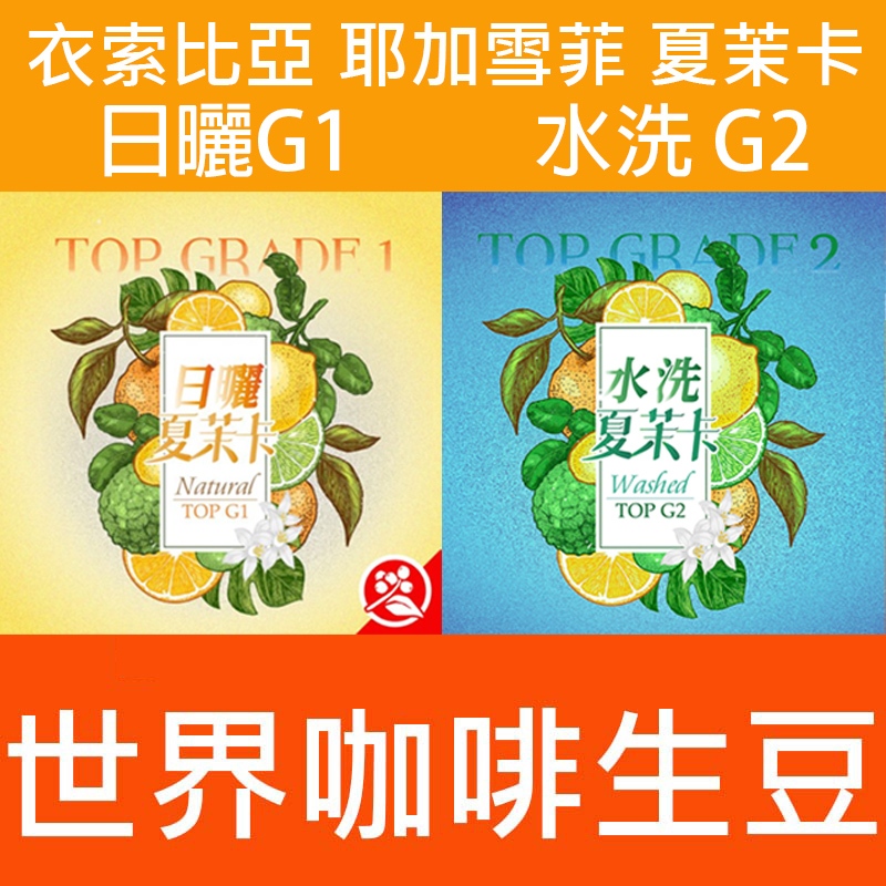 2023新產季 1kg生豆 衣索比亞 耶加雪菲 夏茉卡頂級 日曬G1／水洗 G2|紅圈計畫-世界咖啡生豆 咖啡豆 精品豆