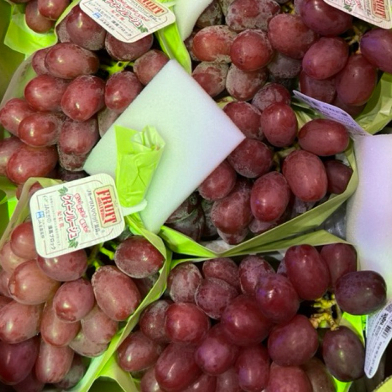 【日本新品種葡萄 妃紅提】果皮顏色如其名 是介於紫與赤之間的酒紅色 非常美麗誘人 其果串極大 口感非常濃密的汁液 酸度低