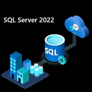 Microsoft SQL Server 2022 Standard Core 雙核心標準版 CSP