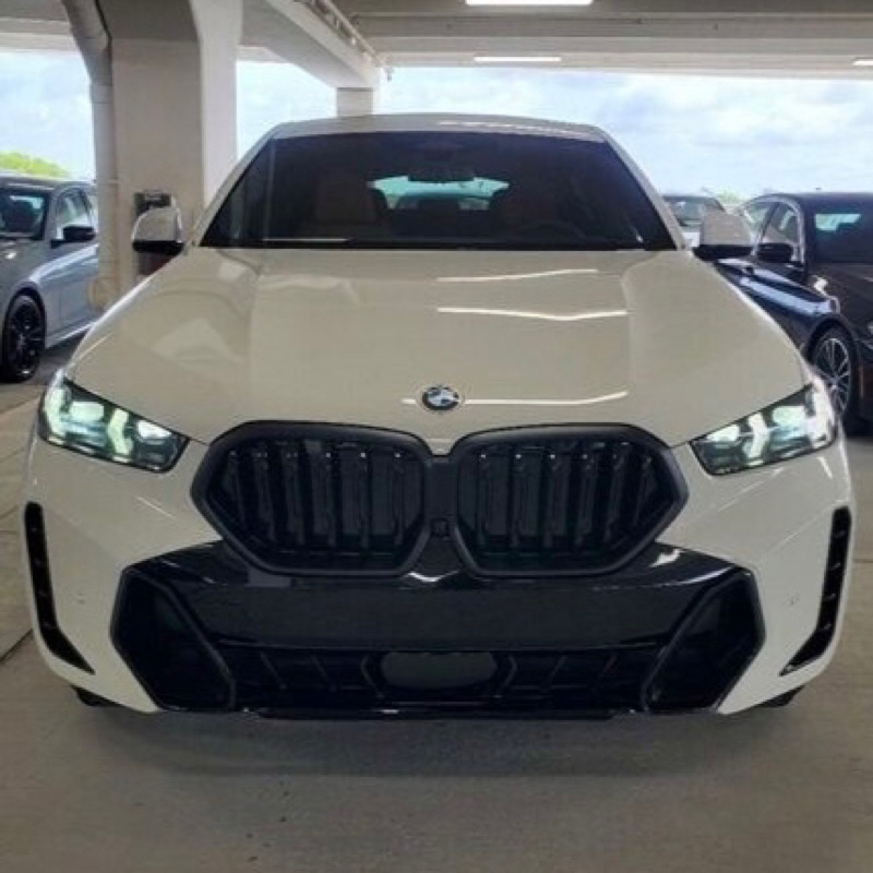 BMW 原廠 X6 G06 LCI M Performance 黑色 水箱護罩 黑鼻頭 40i 小改 mp