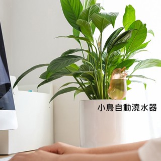 【易家】小鳥懶人自動澆水器 自動滴水器 自動澆花 自動澆水器 懶人澆花 自動澆花器 澆水器 澆花神器