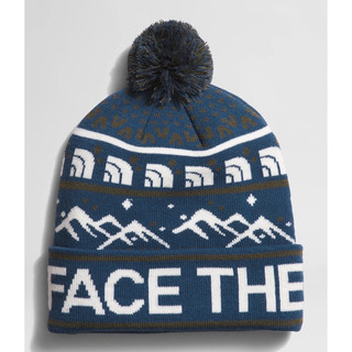 現貨🎉 The north face 北臉 毛帽/藍色/滑雪/ski tuke