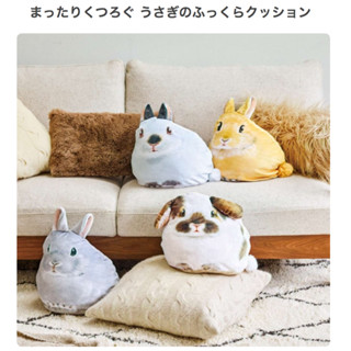 『現貨』日本直送 正規進口 貓部 felissimo YOU+MORE! 兔子 彼得兔 抱枕靠枕 柔軟靠墊療癒玩偶 韓國