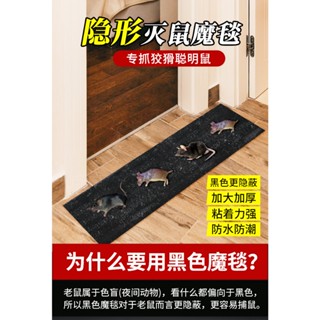 加大加厚 超黏捕鼠板【臺灣現貨】捕鼠神器 超長型捕鼠魔毯 超強力捕鼠板 黏鼠帶 捕鼠器