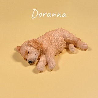 「Doranna」JXK 現貨 金毛狗 模型 手辦 冰箱磁鐵 模擬動物 汽車擺飾 裝飾品 動物模型 禮物 JS2208B