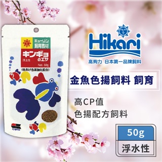 Hikari 高夠力 飼育教材金魚色揚飼料 50g 蘭壽 琉金 朱文錦【良品優惠】