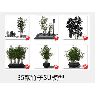 Y雲空間---素材【G|mai|傳送】---SU模型中式日式庭院景觀竹子sketchup素材庫綠植植物小品盆栽盆景
