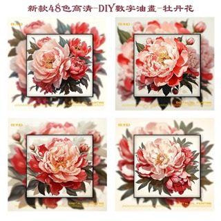 新品現貨-高清48色-牡丹花-40*40CM/50*50CM-DIY數字油畫-減壓治愈系客廳新年手繪裝飾畫-高奢裝飾畫