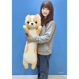 【柯基犬大抱枕】柯基長條枕 柯基長抱枕 柯基娃娃 柯基抱枕 柯基犬長條枕 柯基犬長抱枕 柯基大抱枕 柯基長枕 柯基犬抱枕