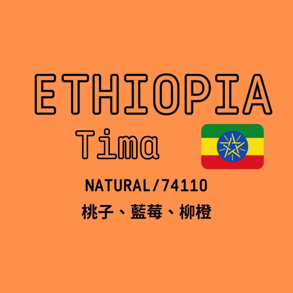 衣索比亞 Tima 日曬 74110｜淺中烘焙｜精品咖啡