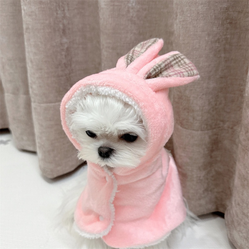 Q Mao 🐶   (現貨款24H出貨/預購款7-21天）小兔造型羊羔絨秋冬披風寵物服飾衣服配件小型犬中型犬