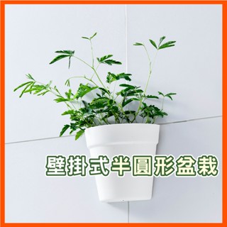 壁掛式塑料盆栽花器 植物花盆 墻壁陽臺室內牆上盆景 半圓形小花盆 水培花盆 壁掛式收納盒 塑膠花盆 花架 盆栽 花盆