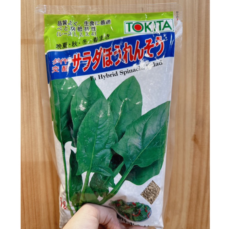城禾農產🍃 日本沙拉菠菜種子 6.2克 約600粒 日本沙拉菠菜種子 沙拉菠菜種子 沙拉波菜種子 菠菜種子 波菜種子