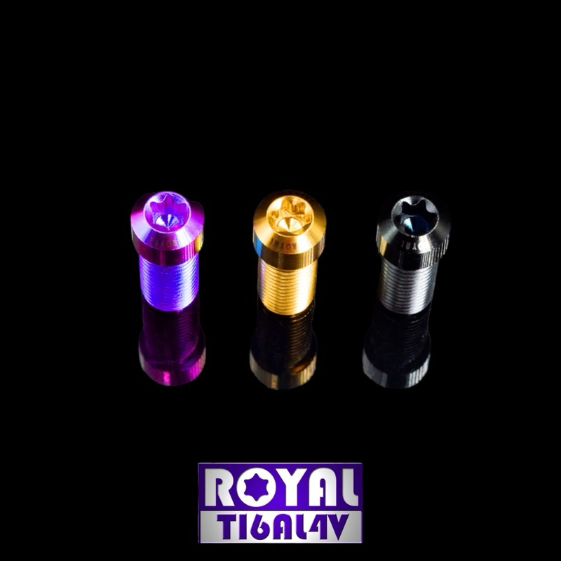 翰林🆁🅰🅲🅸🅽🅶二輪 Royal 皇家 M10 B P1.25 錐頭 鈦合金 螺絲 鈦螺絲