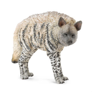 《 COLLECTA 》英國 Procon 動物模型 條紋鬣狗【台中宏富玩具】