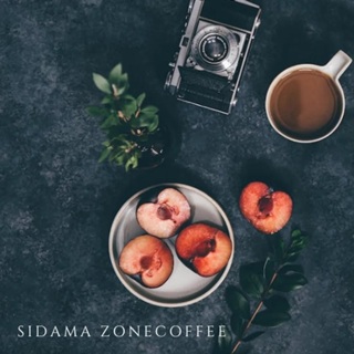 🍑西達摩 果香日曬🍫︱半磅裝咖啡豆︱耳掛式咖啡☕