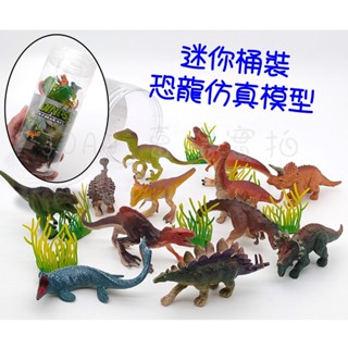 臺灣出貨 桶裝 迷你模擬 海洋動物 家禽動物 恐龍 野生動物 昆蟲 模型 玩具 實心模型 兒童認知教學玩具