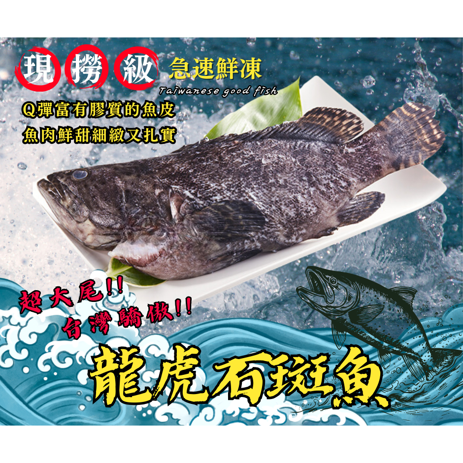 ★金星冷凍食品福利社★龍虎石斑魚(三去/真空)(400/500)-全館任選滿2000元免運費