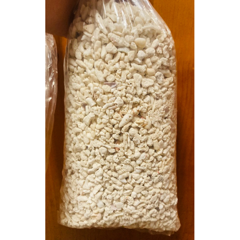 水族/造景 米白色珊瑚石500g