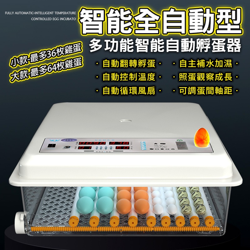 【現貨不用等】一機多用 不挑蛋種 『全自動保溫孵化機』 110V 雙電源 可當保溫箱 孵蛋器 孵蛋機 孵化箱 孵蛋器 孵