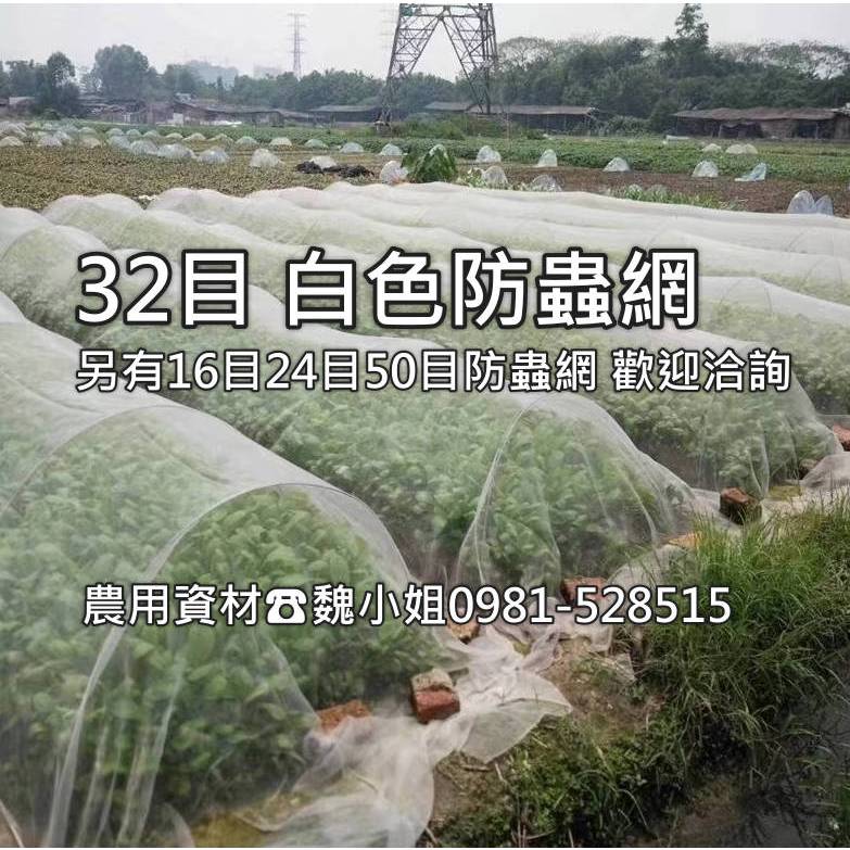 🇹🇼32目防蟲網🇹🇼有16目24目50目有2尺~14尺寬➡️長100尺白色塑膠網木瓜網➡️工廠直營臺灣製HDPE抗紫外線