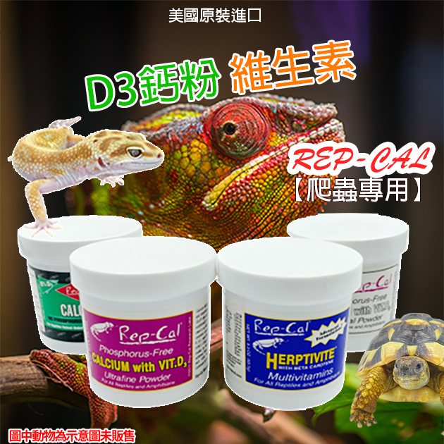 PJ小舖 美國 Repcal 爬蟲營養品 陸龜 守宮 鬆獅蜥蜴 D3鈣粉 維生素 維他命